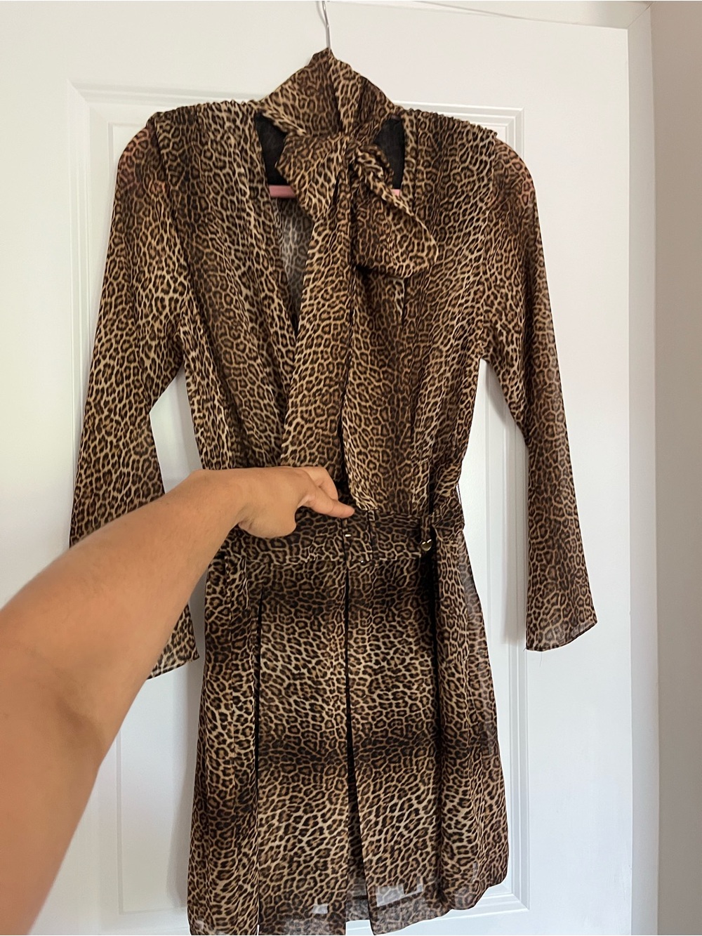 Zara Leopard Print mini dress